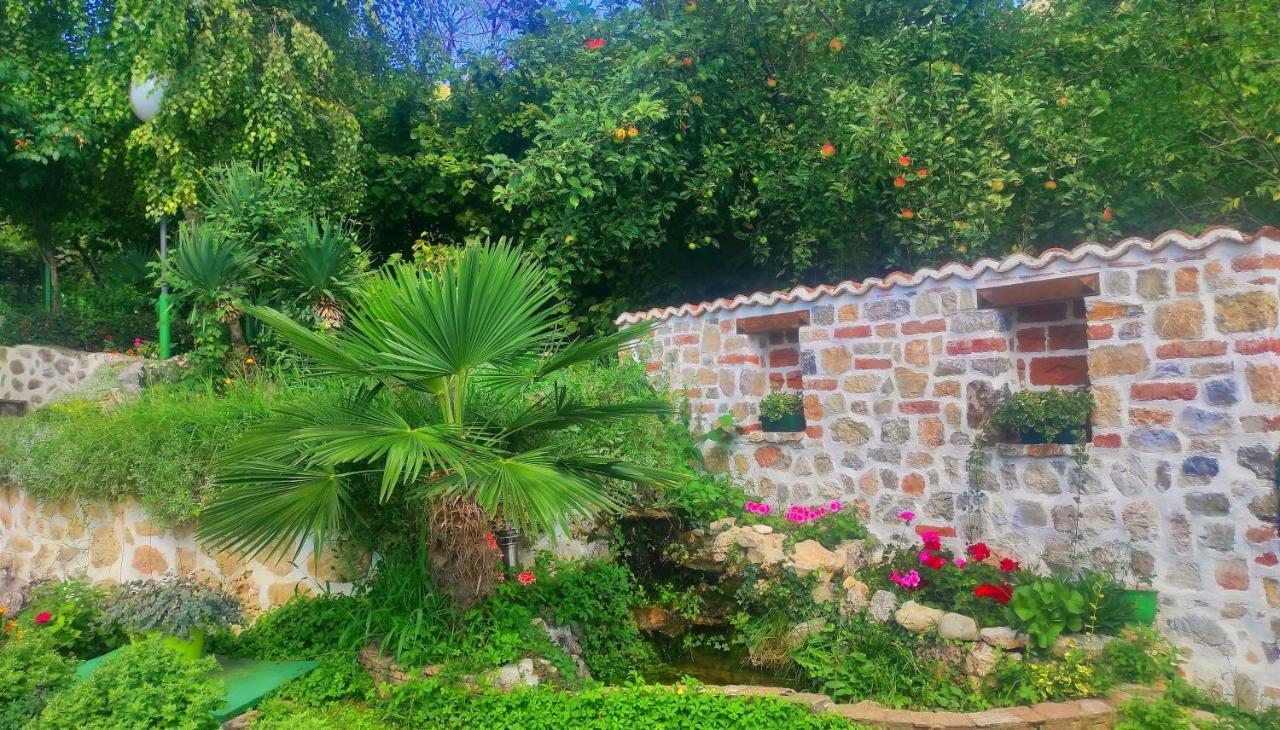 Villa Forest Paradise Ohri Dış mekan fotoğraf
