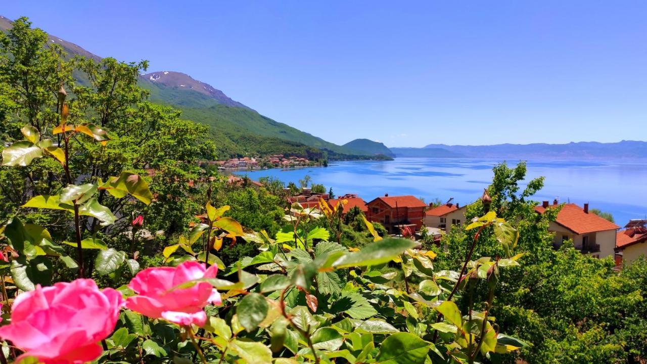 Villa Forest Paradise Ohri Dış mekan fotoğraf