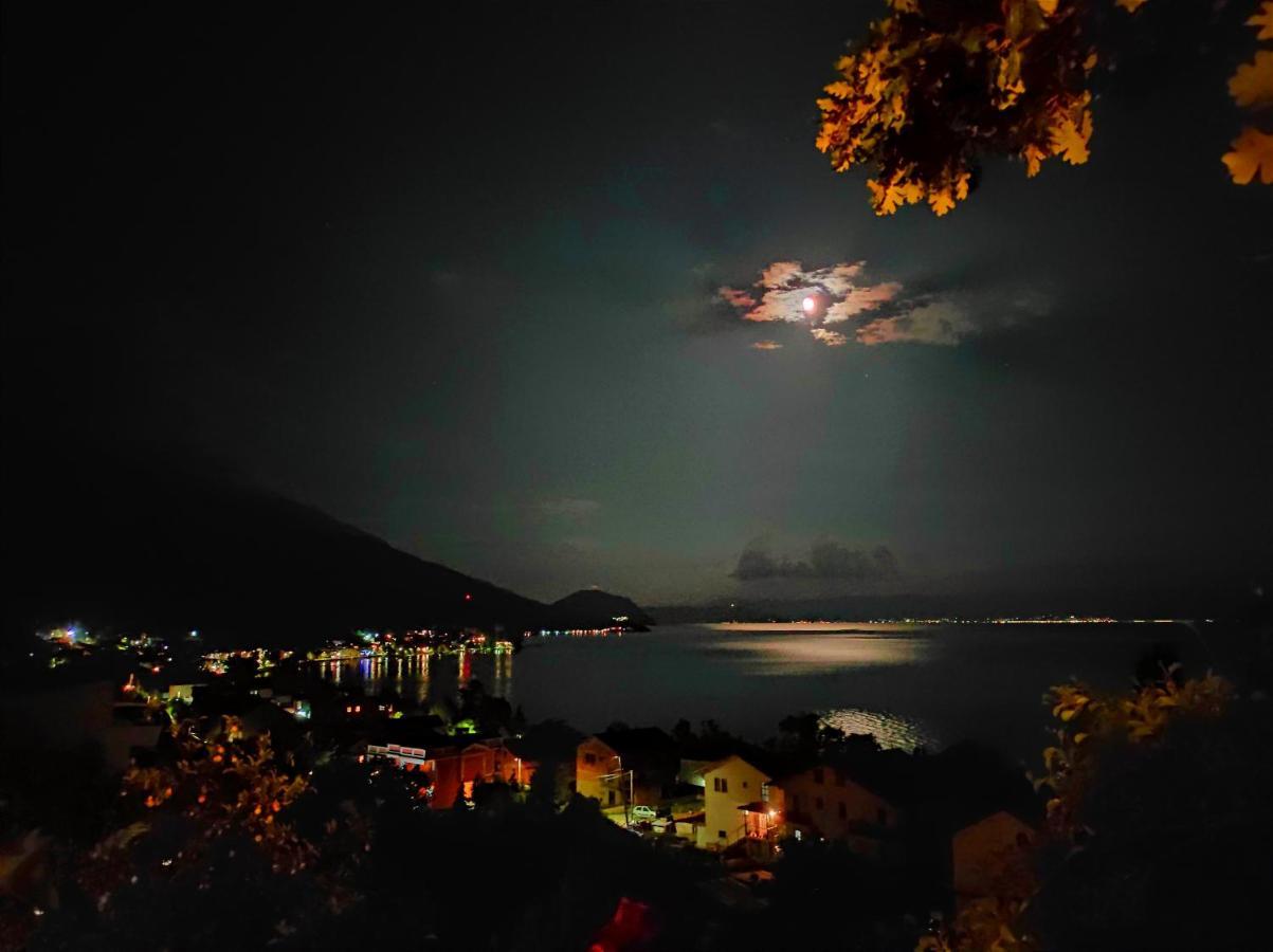 Villa Forest Paradise Ohri Dış mekan fotoğraf