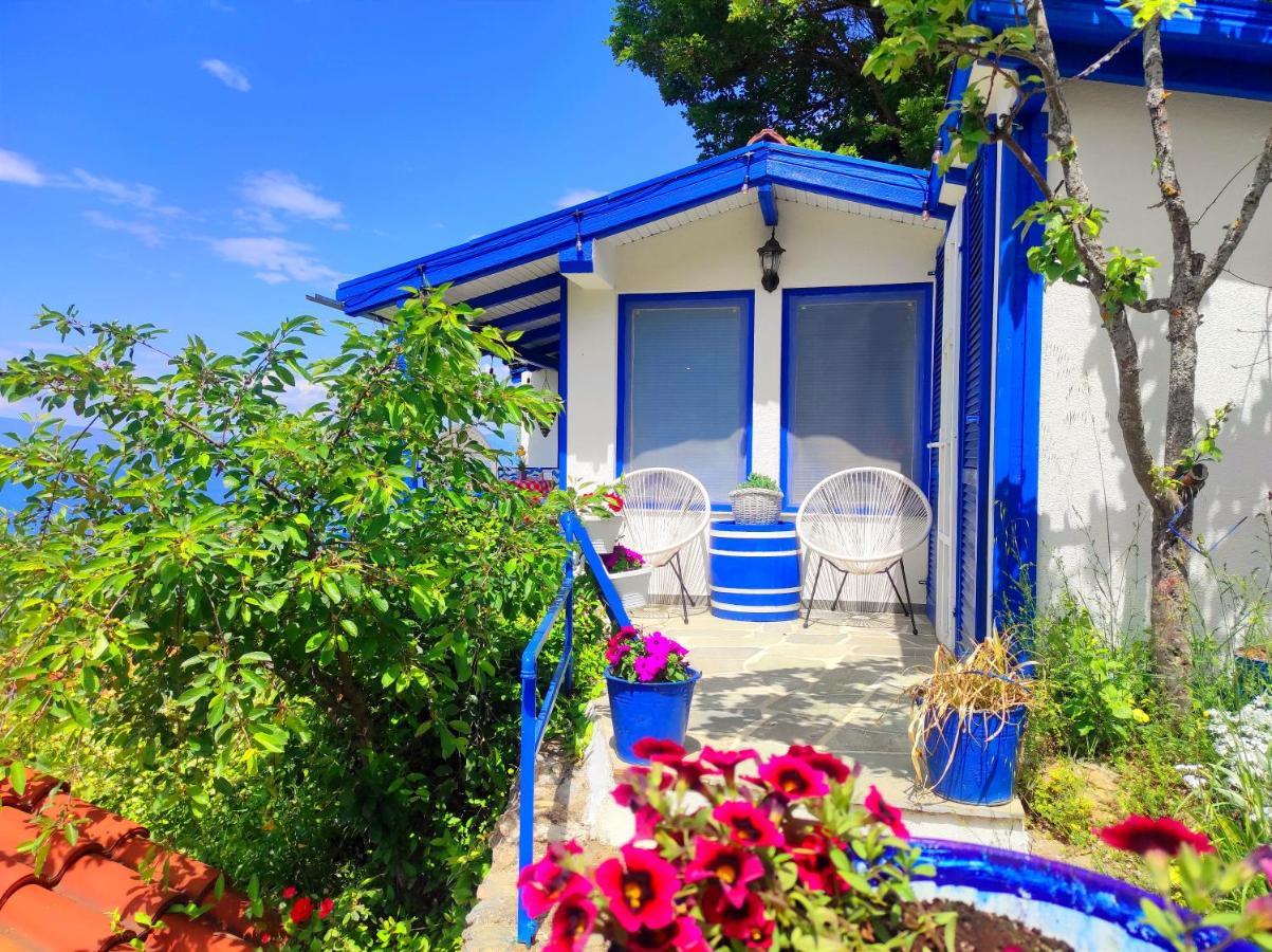 Villa Forest Paradise Ohri Dış mekan fotoğraf