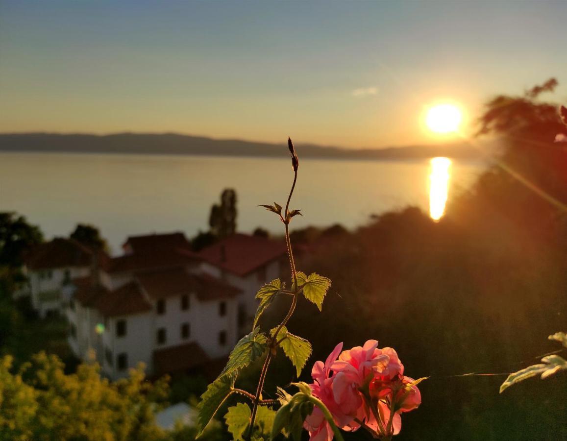 Villa Forest Paradise Ohri Dış mekan fotoğraf