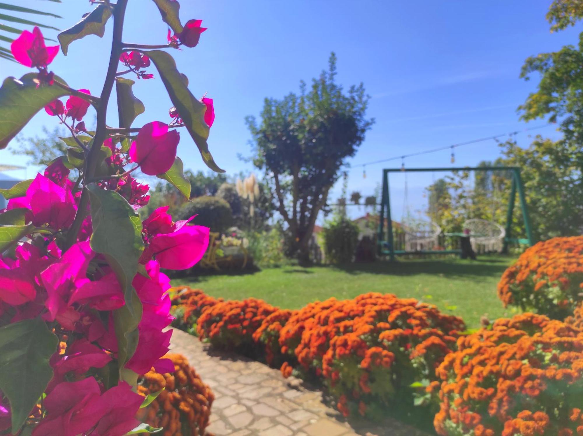 Villa Forest Paradise Ohri Dış mekan fotoğraf