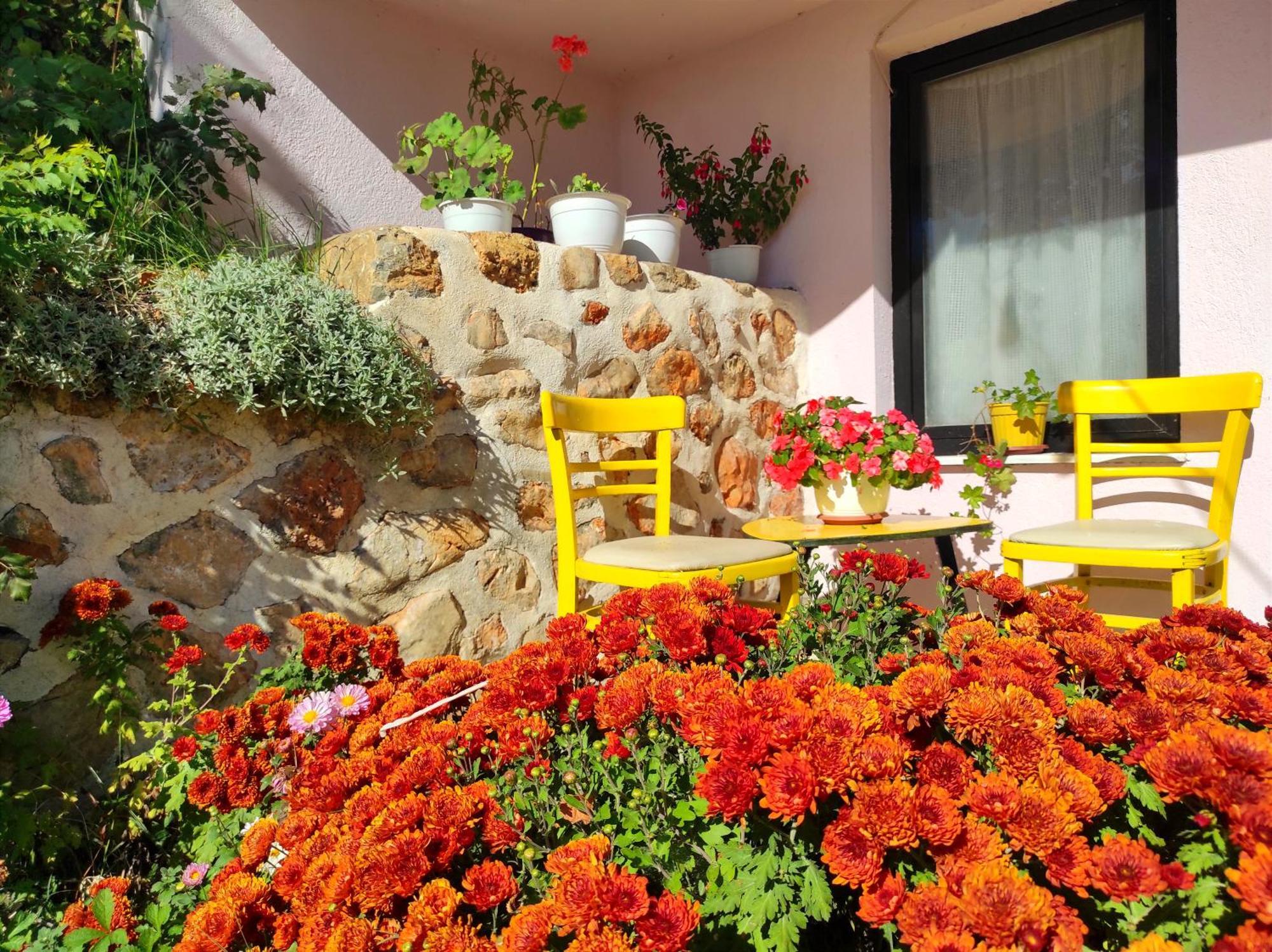Villa Forest Paradise Ohri Dış mekan fotoğraf