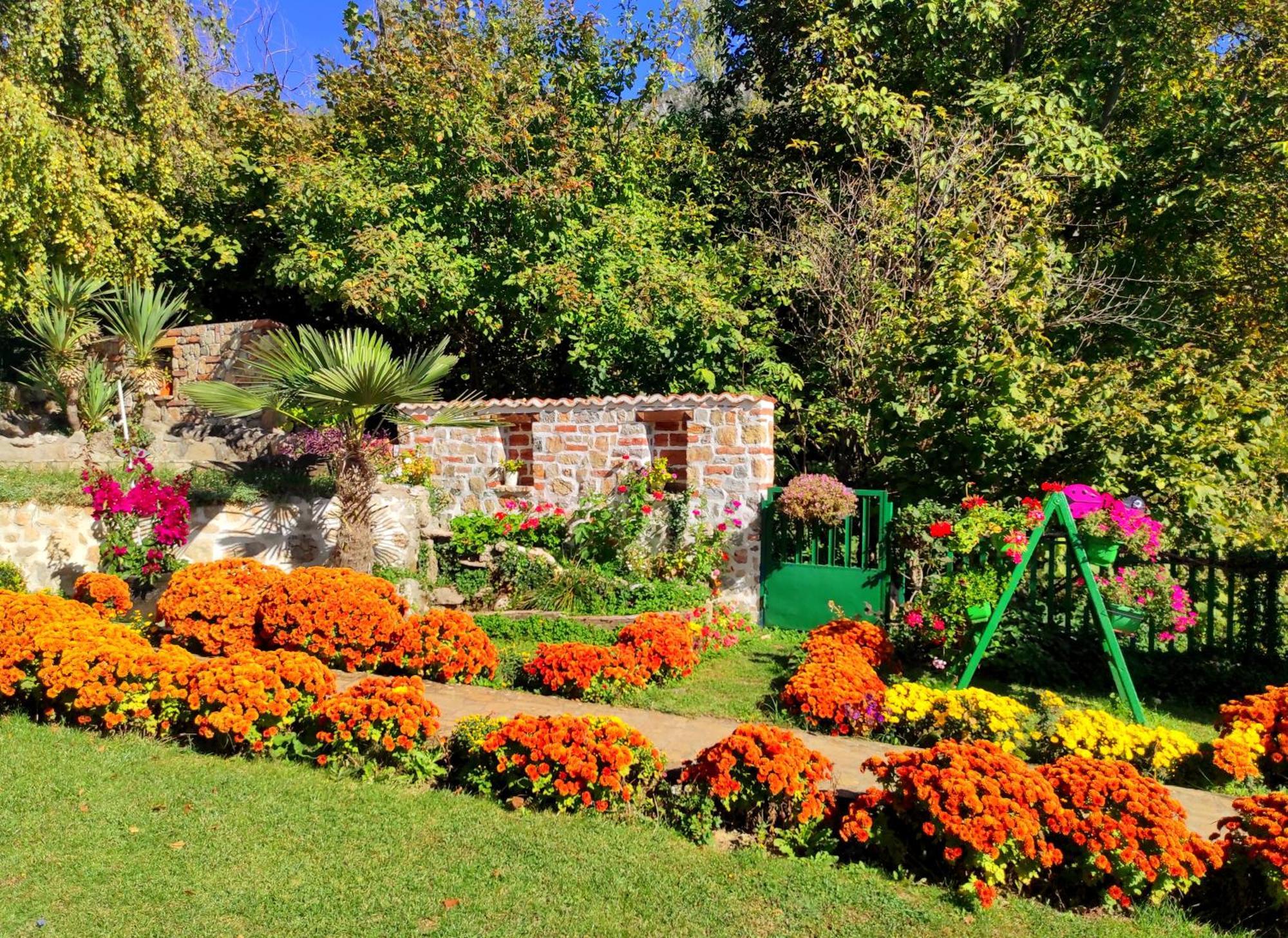 Villa Forest Paradise Ohri Dış mekan fotoğraf