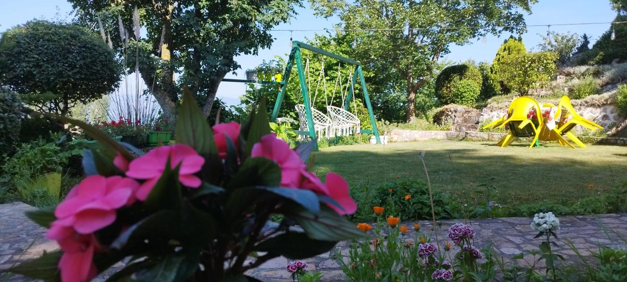 Villa Forest Paradise Ohri Dış mekan fotoğraf