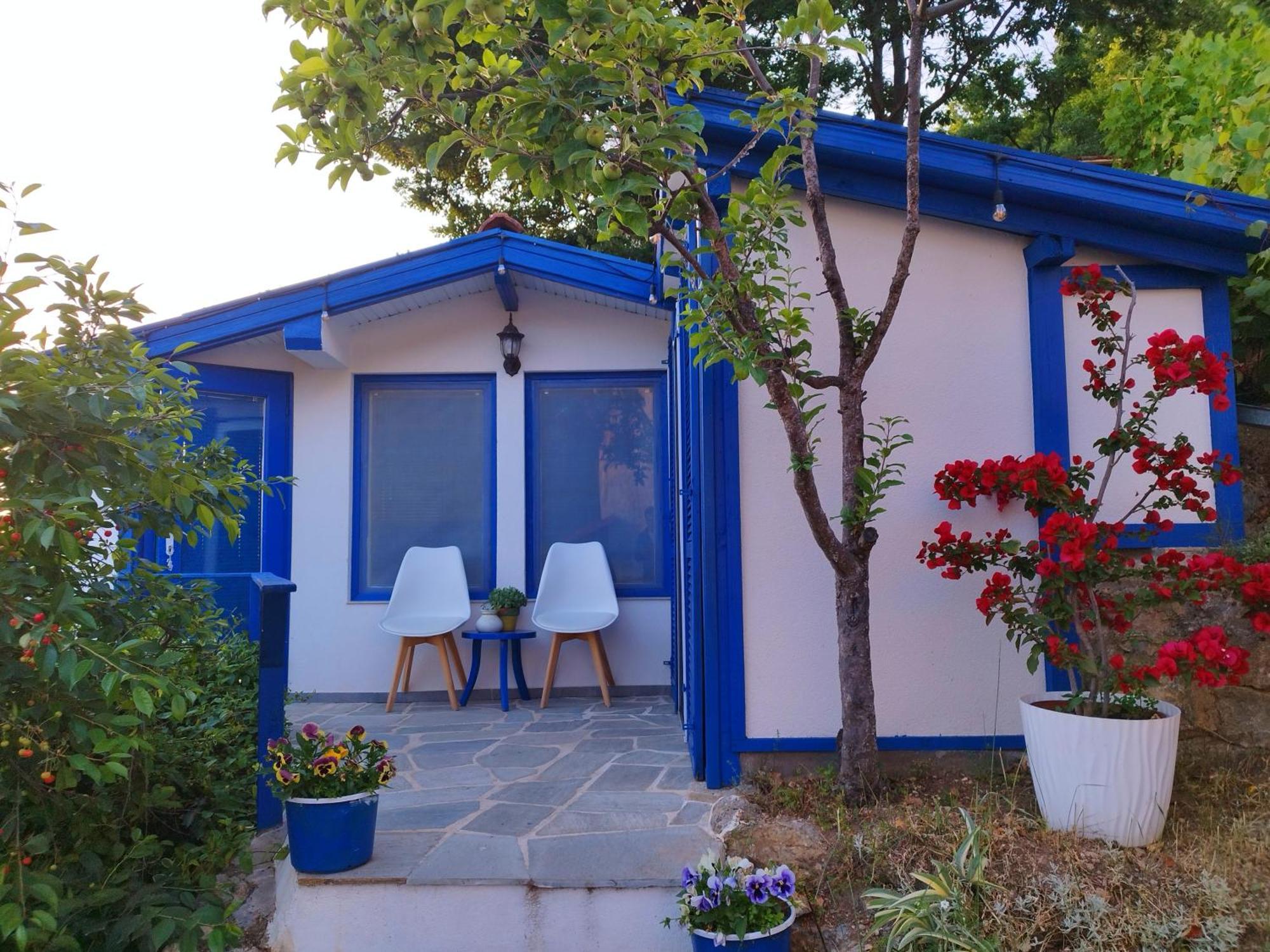 Villa Forest Paradise Ohri Dış mekan fotoğraf