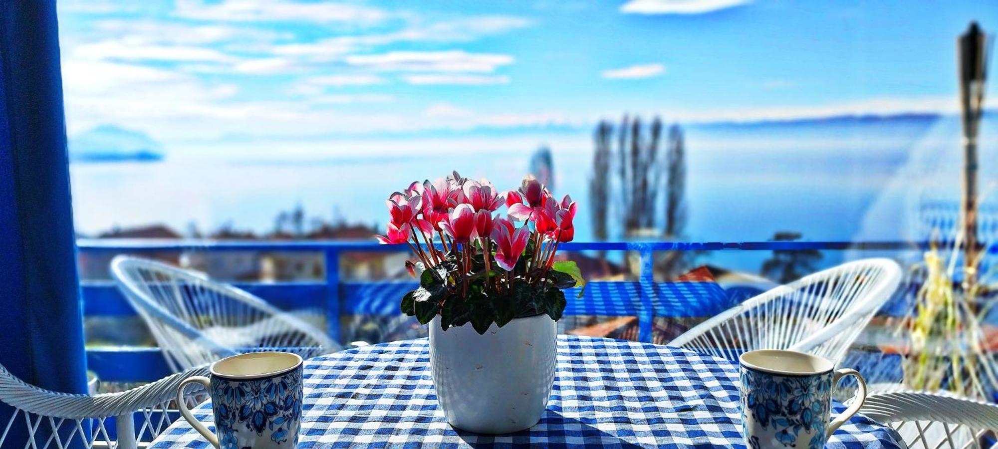 Villa Forest Paradise Ohri Dış mekan fotoğraf