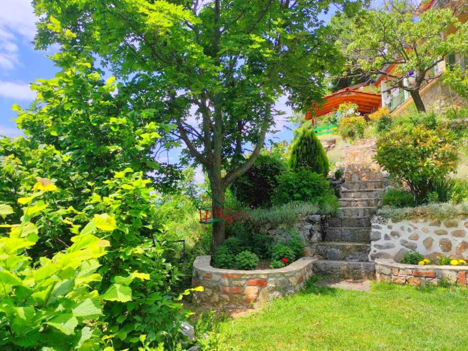 Villa Forest Paradise Ohri Dış mekan fotoğraf