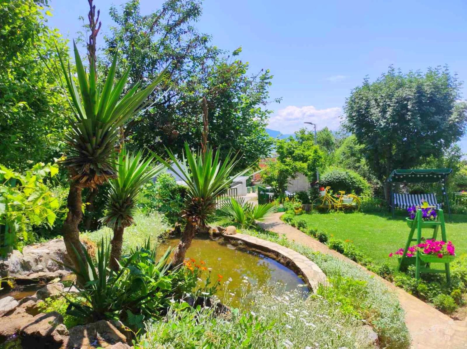 Villa Forest Paradise Ohri Dış mekan fotoğraf